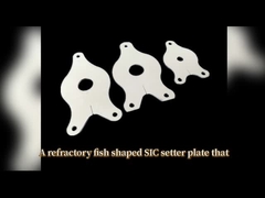 Masal eşyaları sinterleme için yanıcı silikon karbür balık setici plaka